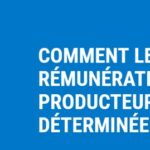 dataset & marketplace